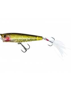 Westin Gift Box Radek Filips Favorites